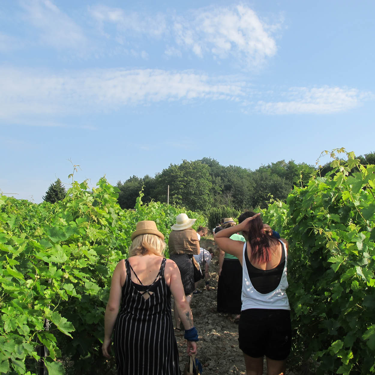 rallye troglodytes vignes activité autour du vin