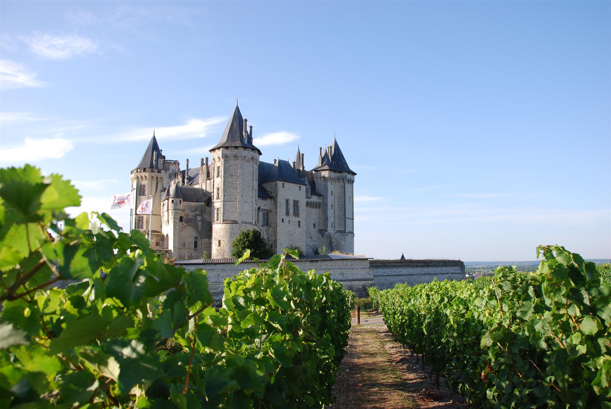 chateau saumur