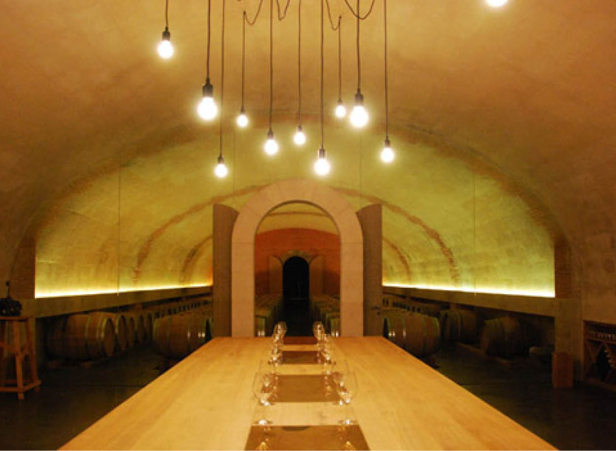 seminaire vignes vignoble