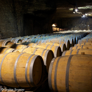 Loire Secrets - Séminaire à Saumur