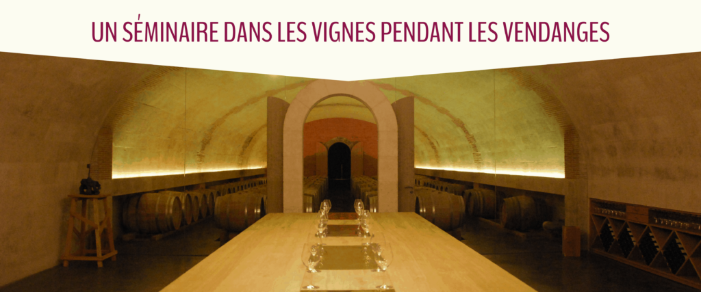 seminaire vignes