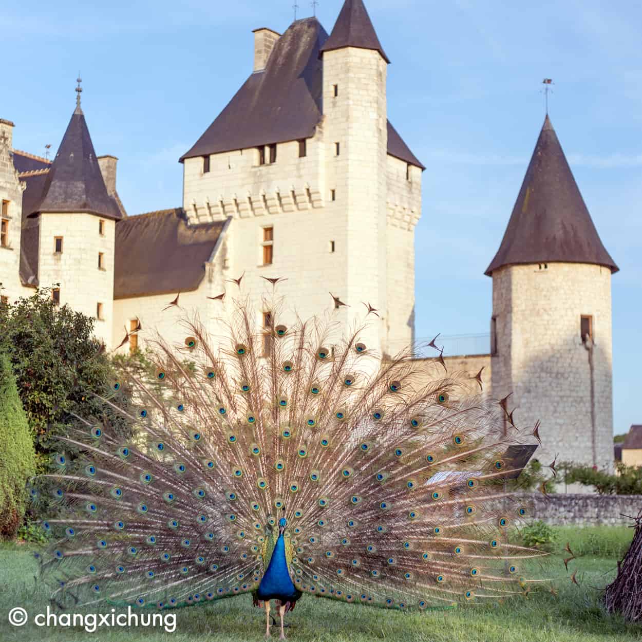 Loire Secrets - Séminaire dans un château en Touraine - Val de Loire