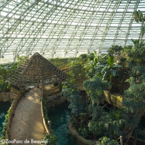 Loire Secrets - Séminaire au zoo - Val de Loire