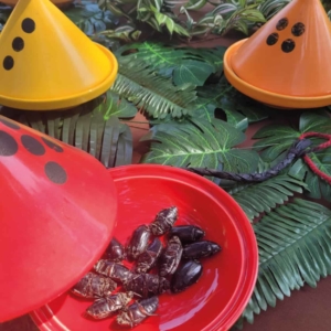 Loire Secrets - Archipel des défis - Team Building aventure