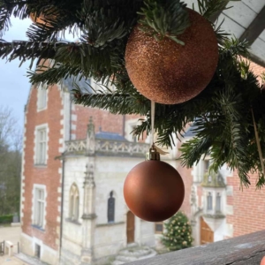 Loire Secrets - Soirée d'entreprise de Noël - Châteaux de la Loire