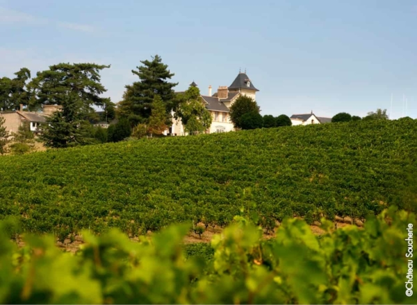 seminaire angers tours vignes