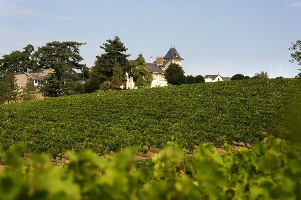 seminaire vignes