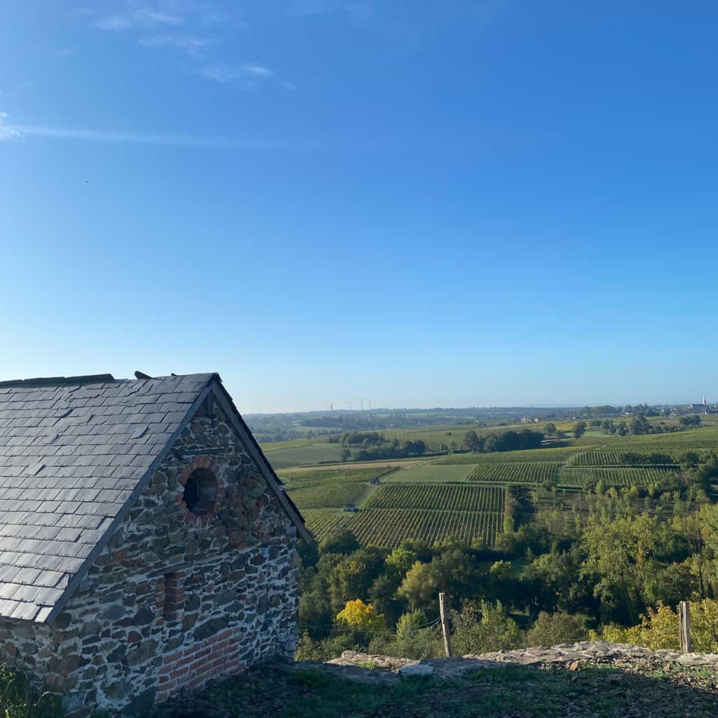 randonnee nature vignes