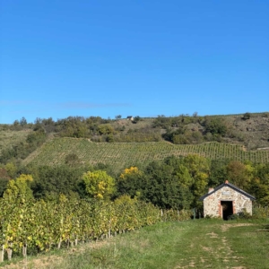 Loire-Secrets-randonnee-nature-activite-cohesion