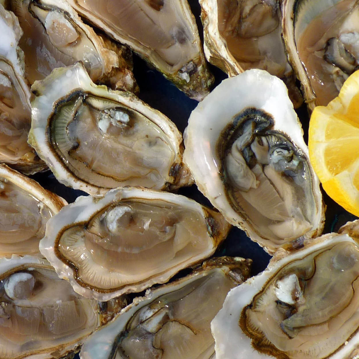 bretagne sejour entreprise