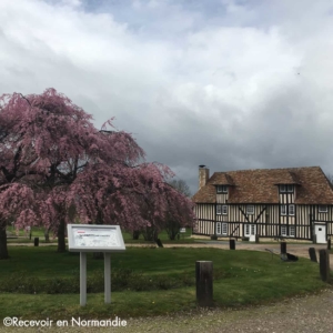 Loire Secrets - Activité de cohésion en Normandie - Challenge Normand - Team Building