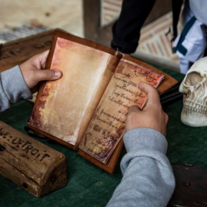 Loire Secrets - Activité de cohésion à Amboise - Da Vinci Challenge au Clos Lucé