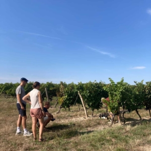 Loire Secrets - Chasse au trésor dans les vignes - Val de Loire - Mission Art et Vin