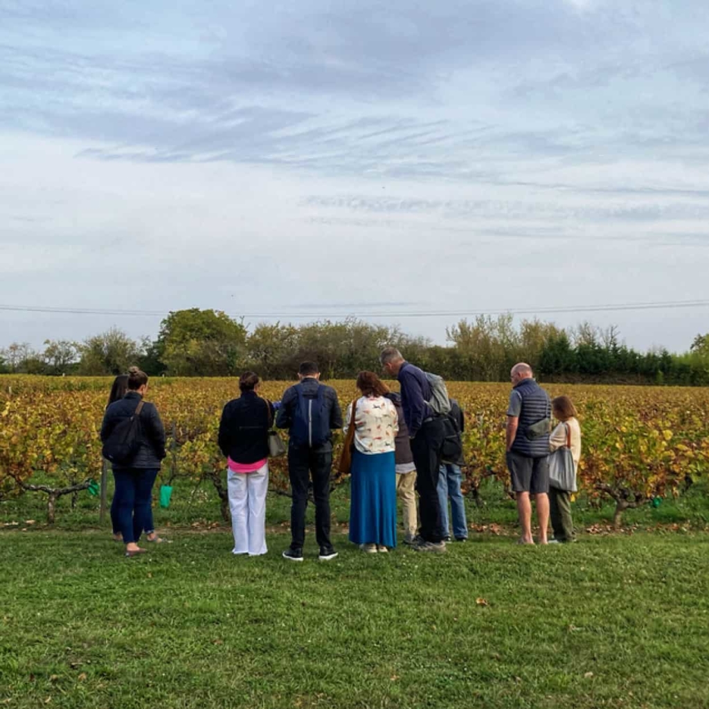 chasse au trésor vignes