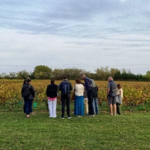 Loire Secrets - Chasse au trésor dans les vignes - Val de Loire - Mission Art et Vin
