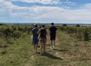 Loire Secrets - Chasse au trésor dans les vignes - Val de Loire - Mission Art et Vin