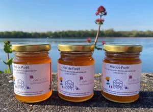 Loire Secrets - Engagements - Parrainage d'une ruche