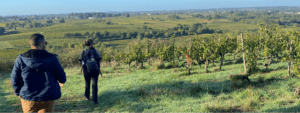Loire-Secrets-randonnee-nature-activite-cohesion
