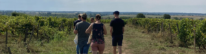 Loire Secrets - Chasse au trésor dans les vignes - Val de Loire - Mission Art et Vin