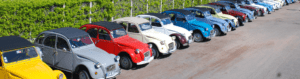 Loire Secrets - Rallye en 2CV ou en Méhari