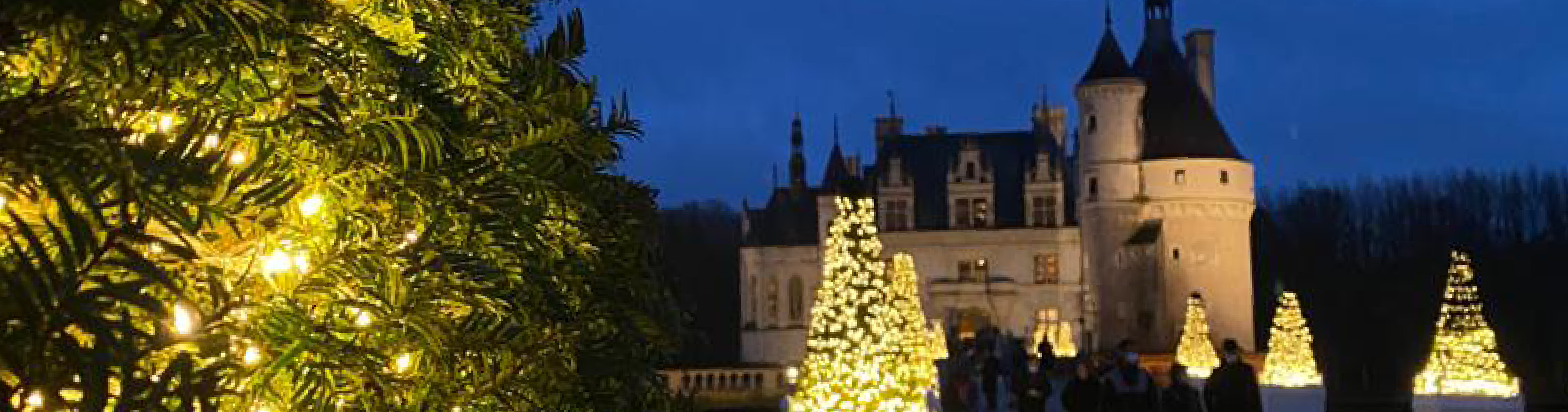 Loire Secrets - Soirée d'entreprise de Noël - Châteaux de la Loire
