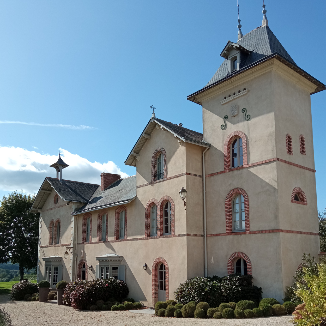Loire Secrets - Séminaire dans un domaine viticole vignes - Val de Loire