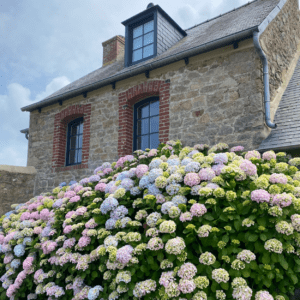 Loire Secrets - Séminaire sur la Côte de Granit Rose en Bretagne