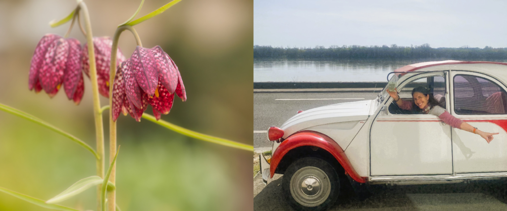 Loire Secrets - Notre 13e anniversaire : une année porte-bonheur !