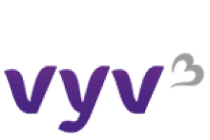 vyv3 (1)
